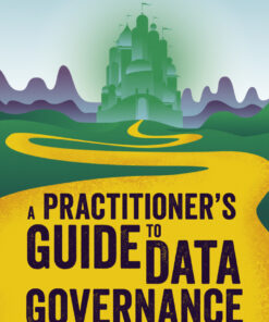 A Practitioner's Guide to Data Governance: A Case-Based Approach