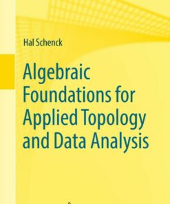 Algebraic Foundations for Applied Topology and Data Analysis