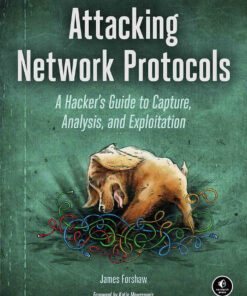 Attacking Network Protocols: A Hacker's Guide to Capture Analysis and Exploitation