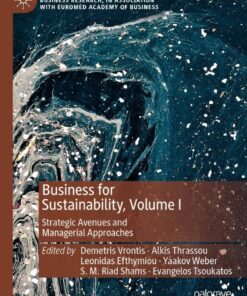 Business for Sustainability Volume I: Strategic Avenues and Managerial Approaches