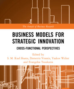 Business Models for Strategic Innovation: Cross-Functional Perspectives