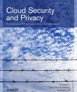 Cloud Security and Privacy: An Enterprise Perspective on Risks and Compliance