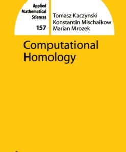 Computational Homology