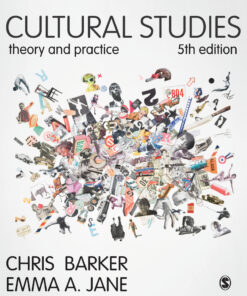 Cultural Studies: Theory and Practice