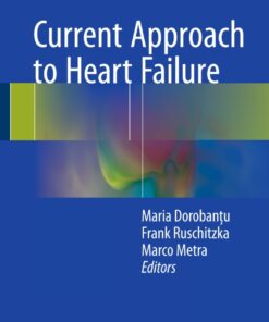 Current Approach to Heart Failure