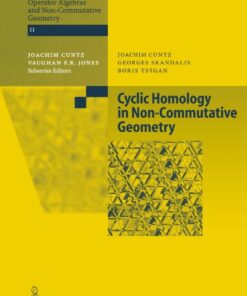 Cyclic Homology in Non-Commutative Geometry