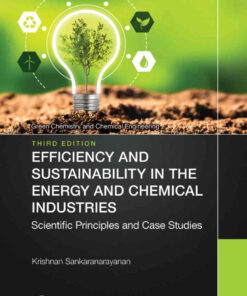 Efficiency and Sustainability in the Energy and Chemical Industries 3rd Edition