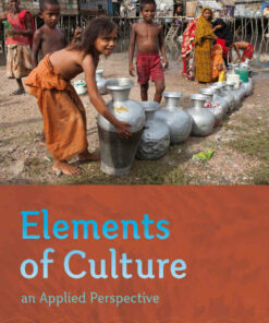 Elements of Culture: An Applied Perspective 1st Edition