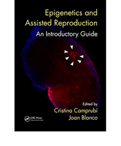 Epigenetics and Assisted Reproduction: An Introductory Guide