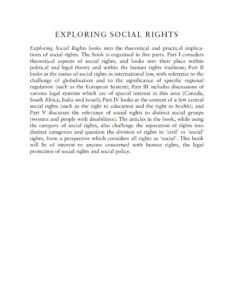 Exploring Social Rights: Between Theory and Practice