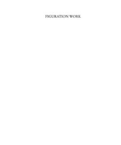 Figuration Work: Student Participation Democracy and University Reform in a Global Knowledge Economy