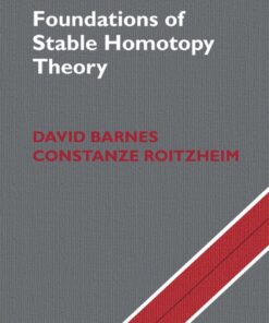 Foundations of Stable Homotopy Theory