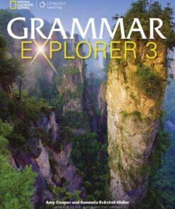Grammar Explorer 3