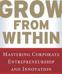 Grow from Within: Mastering Corporate Entrepreneurship and Innovation: Mastering Corporate Entrepreneurship and Innovation