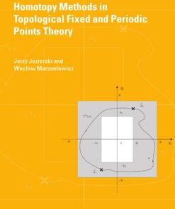 Homotopy Methods in Topological Fixed and Periodic Points Theory