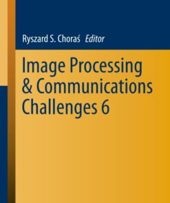 Image Processing & Communications Challenges 6