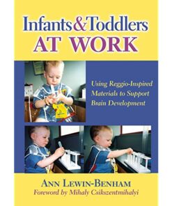 Infants and Toddlers at Work: Using Reggio-Inspired Materials to Support Brain Development