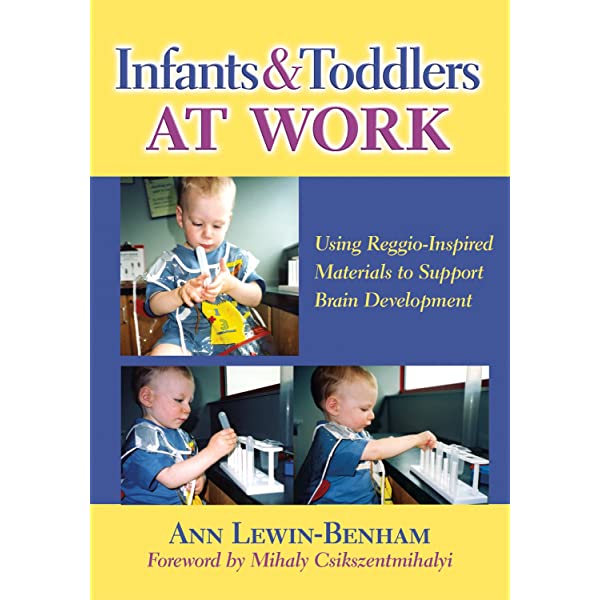 Infants and Toddlers at Work: Using Reggio-Inspired Materials to Support Brain Development
