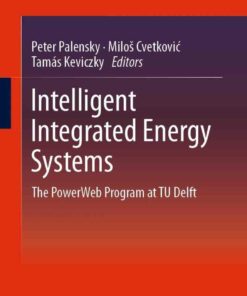 Intelligent Integrated Energy Systems: The PowerWeb Program at TU Delft