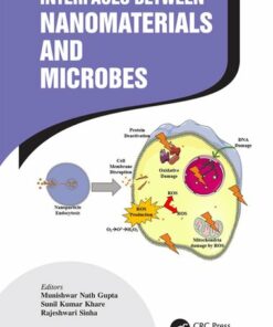 Interfaces Between Nanomaterials and Microbes
