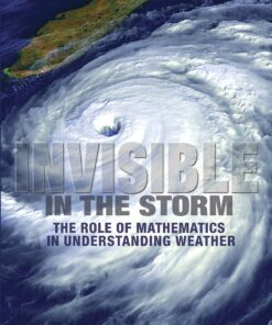 Invisible in the Storm: The Role of Mathematics in Understanding Weather