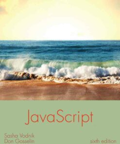 JavaScript: The Web Warrior Series 6th Edition