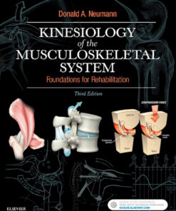 Kinesiology of the Musculoskeletal System: Foundations for Rehabilitation