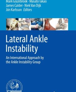 Lateral Ankle Instability: An International Approach by the Ankle Instability Group