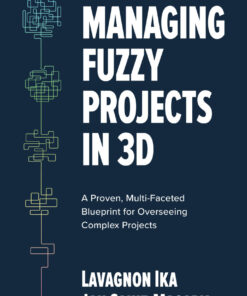 Managing Fuzzy Projects in 3D: A Proven Multi-Faceted Blueprint for Overseeing Complex Projects