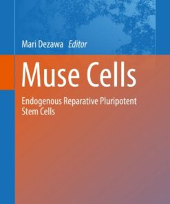 Muse Cells: Endogenous Reparative Pluripotent Stem Cells