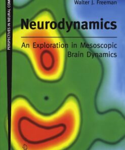Neurodynamics: An Exploration in Mesoscopic Brain Dynamics