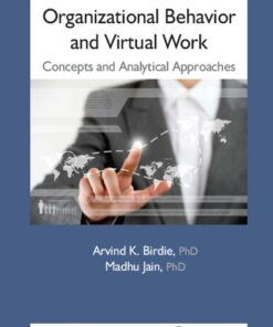 Organizational Behavior and Virtual Work: Concepts and Analytical Approaches