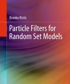Particle Filters for Random Set Models