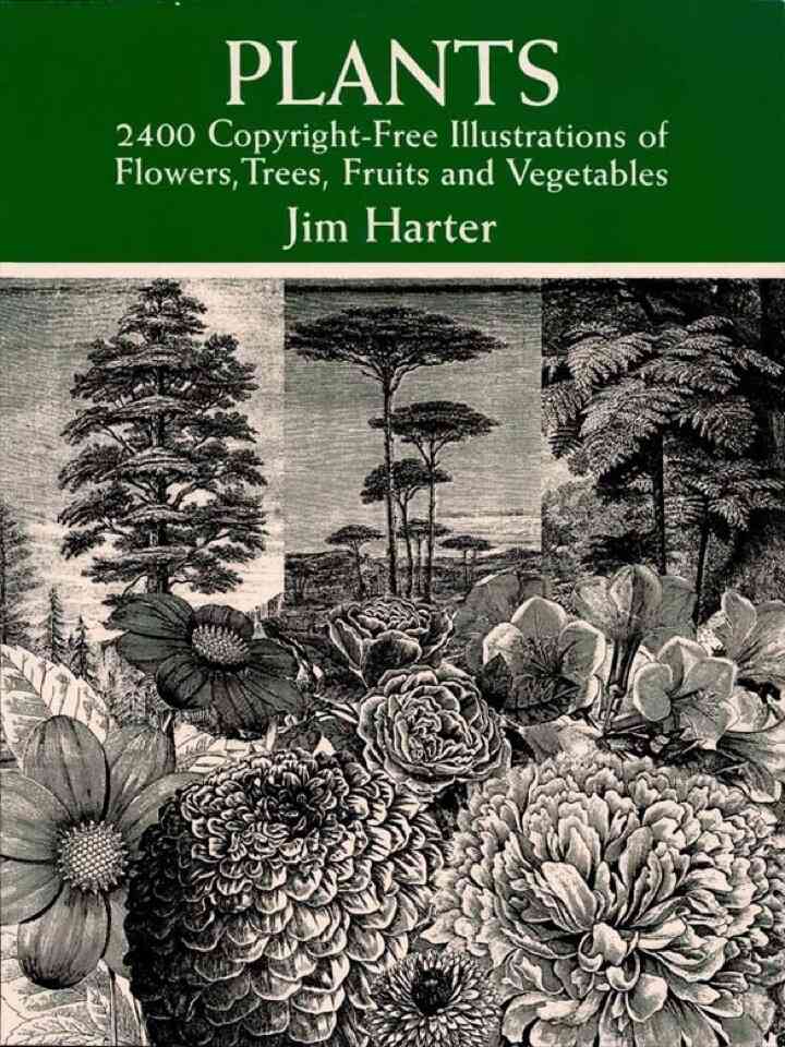 Plants: 2400 Royalty-Free Illustrations of Flowers Trees Fruits and Vegetables