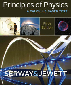 Principles of Physics: A Calculus-Based Text 5th Edition