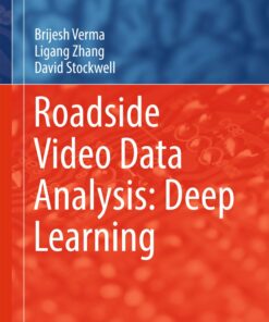 Roadside Video Data Analysis: Deep Learning