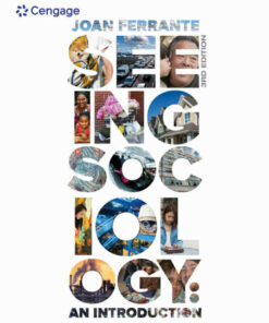 Seeing Sociology: An Introduction 3rd Edition