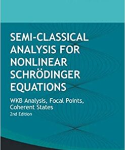 Semi-classical Analysis For Nonlinear Schrodinger Equations: Wkb Analysis Focal Points Coherent States (Second Edition) WKB Analysis Focal Points Coherent States