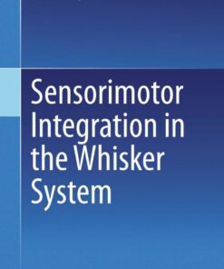 Sensorimotor Integration in the Whisker System