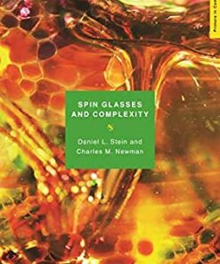 Spin Glasses and Complexity