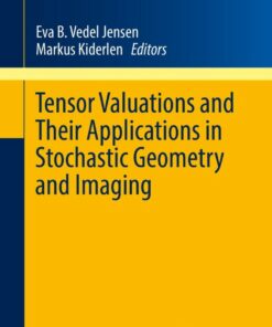 Tensor Valuations and Their Applications in Stochastic Geometry and Imaging