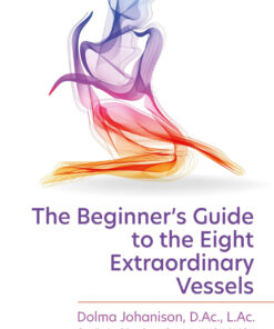 The Beginner's Guide to the Eight Extraordinary Vessels