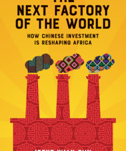 The Next Factory of the World: How Chinese Investment Is Reshaping Africa