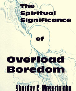 The Spiritual Significance of Overload Boredom