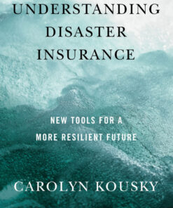 Understanding Disaster Insurance: New Tools for a More Resilient Future
