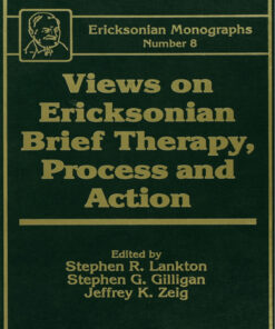 Views On Ericksonian Brief Therapy