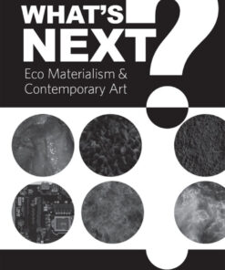 What's Next?: Eco Materialism and Contemporary Art