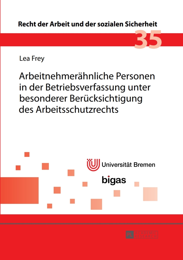 Arbeitnehmeraehnliche Personen in der Betriebsverfassung unter besonderer Beruecksichtigung des Arbeitsschutzrechts