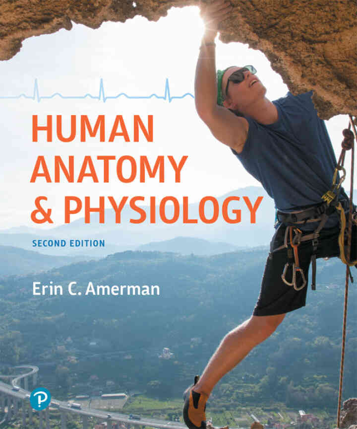 Human Anatomy &amp; Physiology, 2nd Edition
