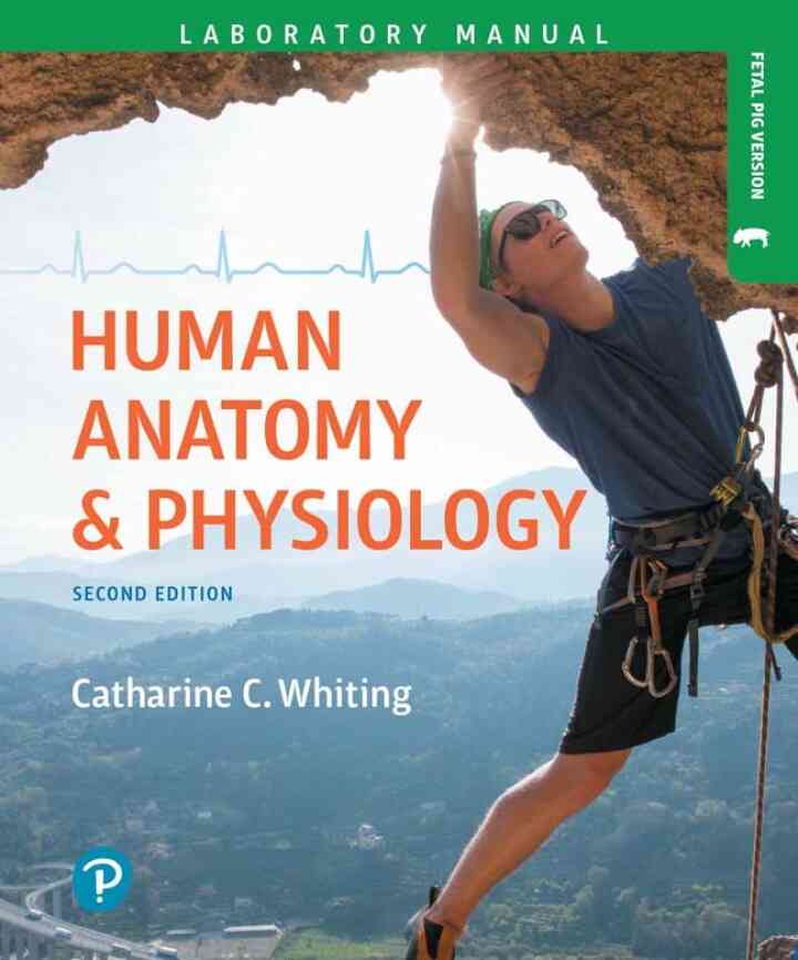 Human Anatomy &amp; Physiology Laboratory Manual: Making Connections, Fetal Pig Version, 2nd Edition